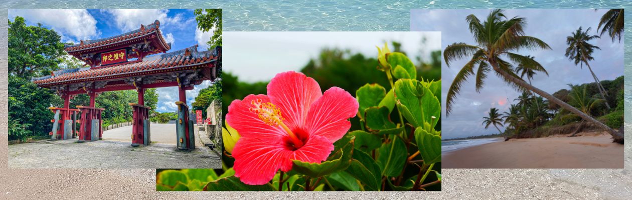 手作りシーサー　色付け体験シーサー　漆喰シーサー